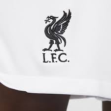 Nike liverpool FC 2022/23 stadium away short men’s medium